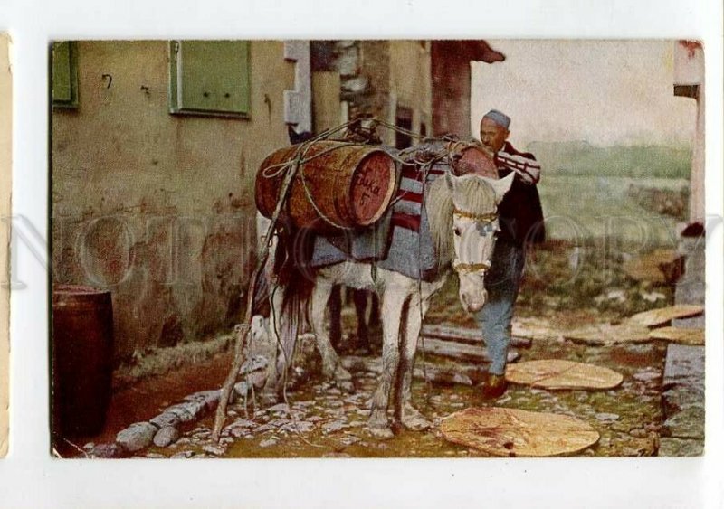 3150592 ALBANIA old man & Donkey Vintage postcard