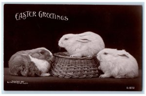 1908 Easter Greetings Bunny Rabbit Rotograph Annapolis MD RPPC Photo Postcard 