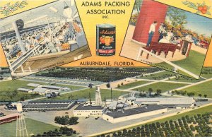 1940s Auburndale Florida Adams Packing Association multi View Postcard 25-12071