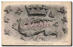 Old Postcard Chateau de Blois The Salamander