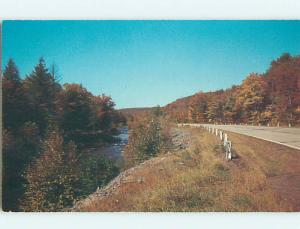 1971 Greetings From - Road Along The River Oneonta New York NY Q7618