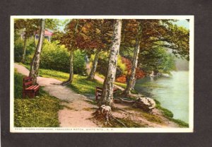 NH Trail Along Echo Lake Franconia Notch White Mountains New Hampshire Postcard