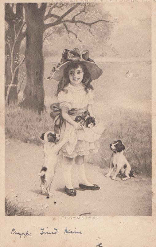 Girl With Apron Towel Full Of Kittens Antique Cat Postcard