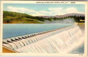 Postcard DAM SCENE Catskill Mountains New York NY AL1234