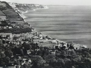 Aerial View of The Bay Sidmouth Devon Vintage RP Postcard 1950s