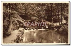 Postcard Former Newcastle upon Tyne Jesmond Dene stepping stones