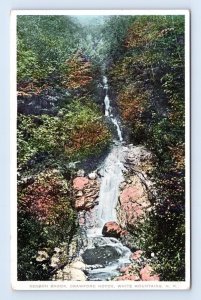 Kedron Brook Crawford Notch New Hampshire NH  UNP WB Postcard N3