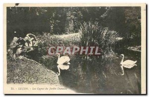 Old Postcard Lucon Dumaine Garden Swans