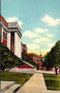 Vtg 1940s Sull Ross State Teachers College Campus Alpine Texas TX Postcard