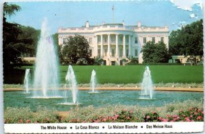 Postcard - White House, Looking South - Washington, District of Columbia