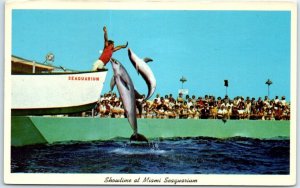 Postcard - Showtime at Miami Seaquarium - Miami, Florida