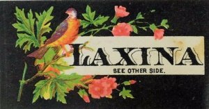 1870's-80's Laxina C.S Hardy & Co Colorful Bird In Tree Pink Flowers P43
