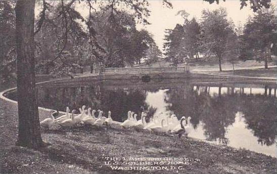 Washington DC The Lake And Geese U S Soldiers Home Albertype