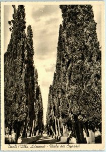 Postcard - Viale dei Cipressi - Villa Adriana - Tivoli, Italy