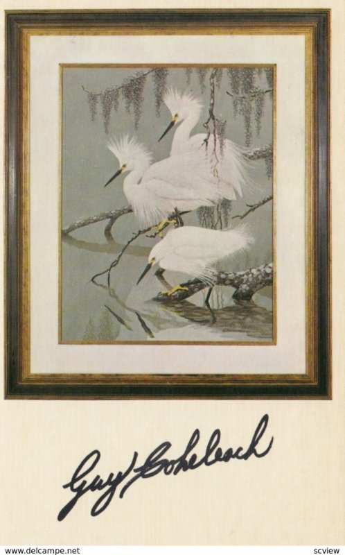 Artist Guy Coheleach's SNOWY EGRETS prints , 50-60s