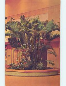 Pre-1980 BOTANICAL SCENE Rochester New York NY HJ6898