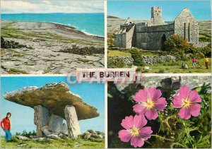 Modern Postcard Burren Great Duck