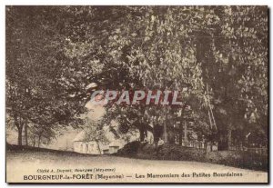 Old Postcard Tree Bourgneuf la Foret Mayenne chestnut Small Bourdaines