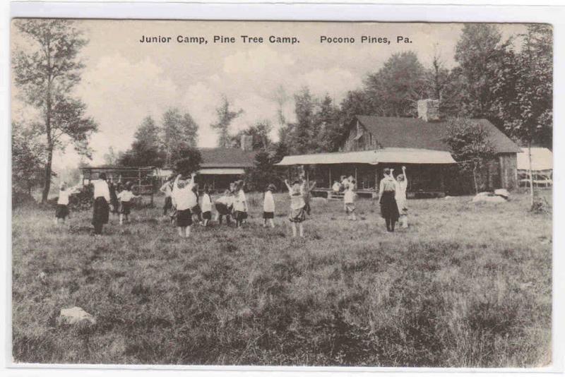 Children Play Pine Tree Camp Pocono Pines PA postcard