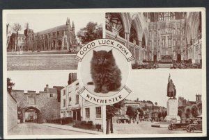 Hampshire Postcard - Good Luck From Winchester     RS16316