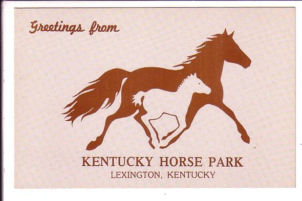 Greeting from Kentucky Horse Park, Lexington, Kentucky, Durham, Horse 