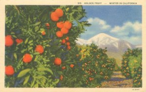Los Angeles California Golden Fruit, Orange Trees & Snowy Mtn Linen Postcard
