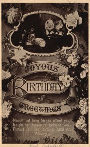 Vintage Postcard 1918 Joyous Birthday Greetings Card Roses Flowers Cats Kitten