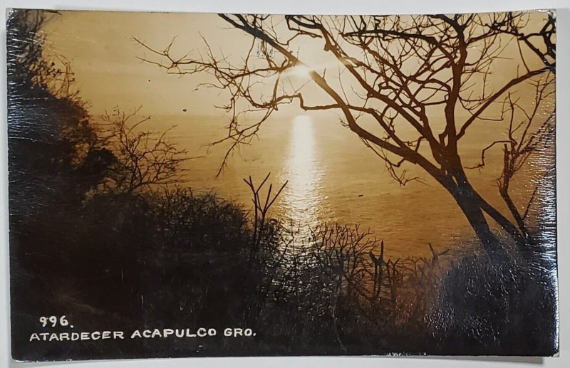 RPPC Atardecer Acapulco Guerrero Mexico c1950s Ocean from Trees Postcard D26