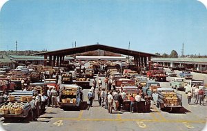 Benton Harbor Fruit Market View - Benton Harbor, Michigan MI  
