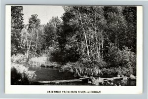 Iron River MI- Michigan, General Greetings, Water In The Forest, Chrome Postcard 