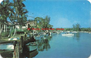FL, Everglades, Florida, Rod & Gun Club, Fishing Fleet, Dexter Press No 47500