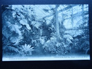 HIGHBURY HALL Interior of Conservatory Home of Joseph Chamberlain - Old Postcard