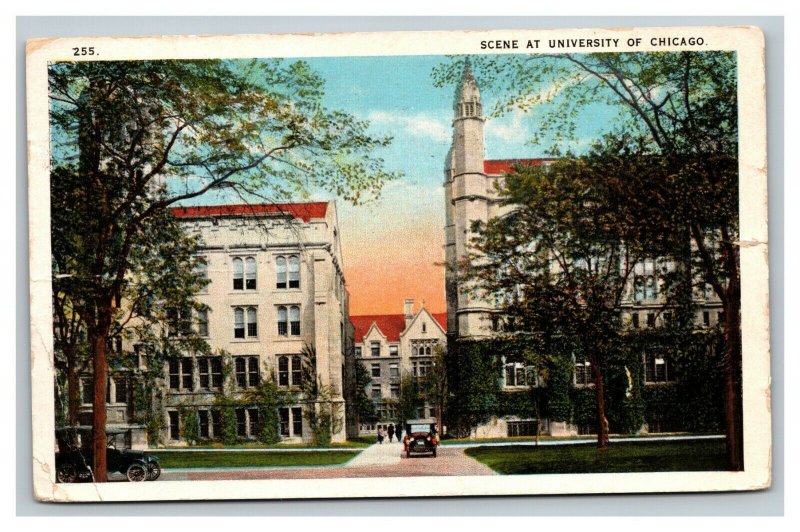 Vintage 1924 Postcard Panoramic View University of Chicago Campus Illinois