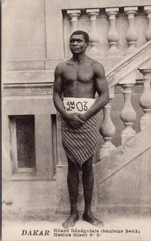 Native Giant Geant Senegalain Senegal Dakar Africa Tall Man Postcard E32