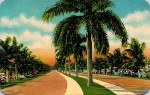 Florida Fort Lauderdale Las Olas Boulevard