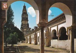 Spain Cordoba Naranjos Courtyard With Cathedral Tower