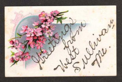ME Greetings From WEST SULLIVAN MAINE Postcard Flowers