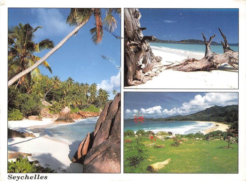 BG21486 anse patate la digue seychelles