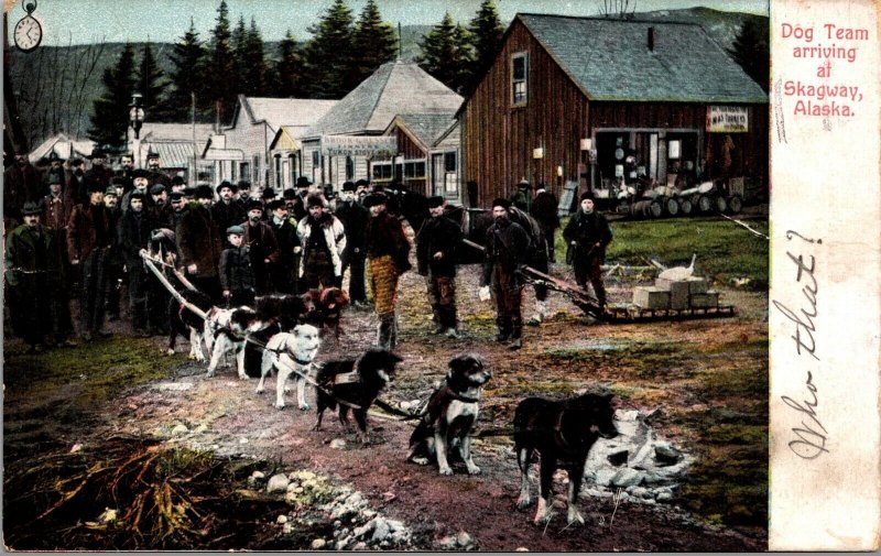 Postcard Dog Team Arriving in Skagway, Alaska~318