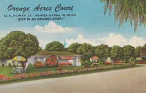 VINTAGE POSTCARD ORANGE ACRES COURT WINTER HAVEN FLORIDA