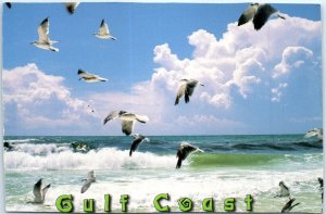 Postcard - Seagulls along the beaches of the Gulf Coast