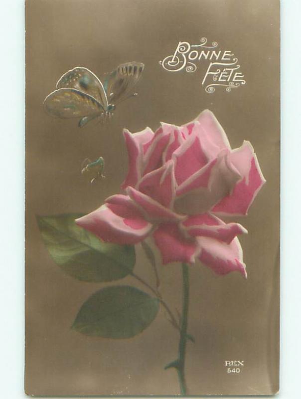 tinted rppc c1910 BEAUTIFUL FLOWERS AC9095