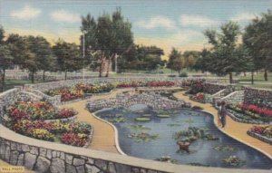 New Mexico Roswell Sunken Garden Cahoon Park 1944 Curteich