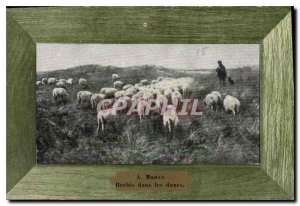 Old Postcard A Purple Sheep in the dunes