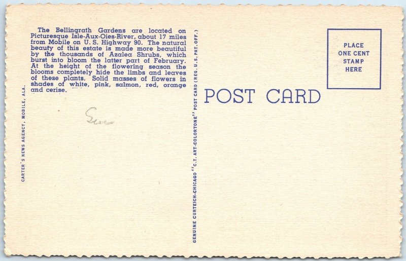 1940 Mobile AL Bellingrath Gardens Scene Azalea Shrub Flower Landscaping PC A252