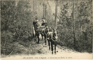 CPA ARCACHON-Excursion en Foret le retour (27744)