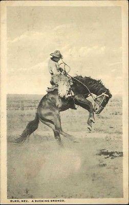 Elko NV A Bucking Broncho c1918 Postcard