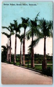 BERMUDA Seven Palm South Shore Postcard