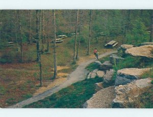 Pre-1980 NATURE SCENE Natchez Mississippi MS AD2552