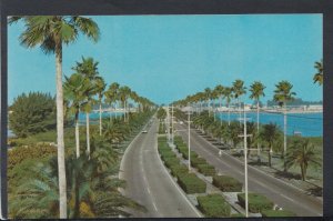 America Postcard - Clearwater's Memorial Causeway, Florida     T6583